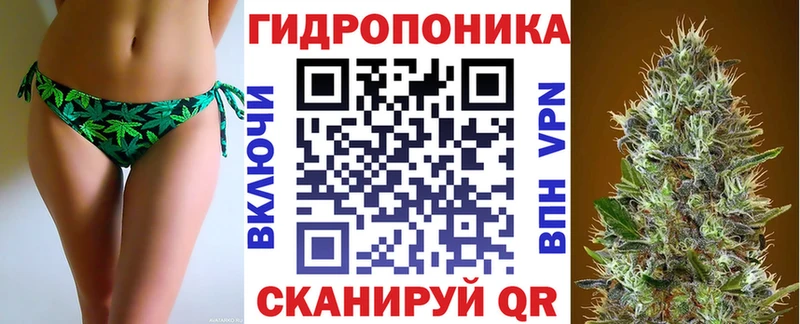 Где найти наркотики Купино Каннабис  Псилоцибиновые грибы  Меф  СК 
