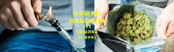 прущие грибы Белоозёрский