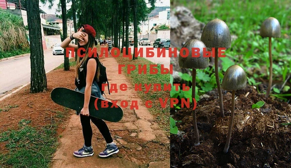 прущие грибы Белоозёрский