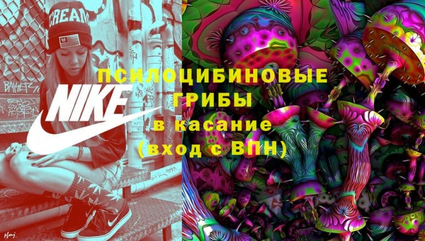 дмт Белокуриха