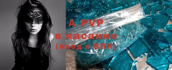 прущие грибы Белоозёрский