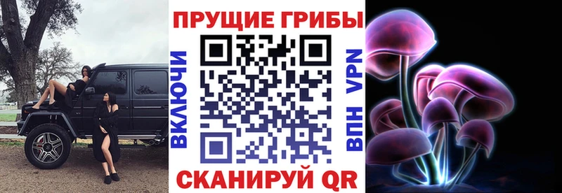 mega   Купино  Псилоцибиновые грибы Magic Shrooms 