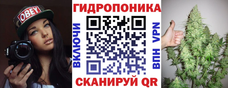 Конопля конопля Купино